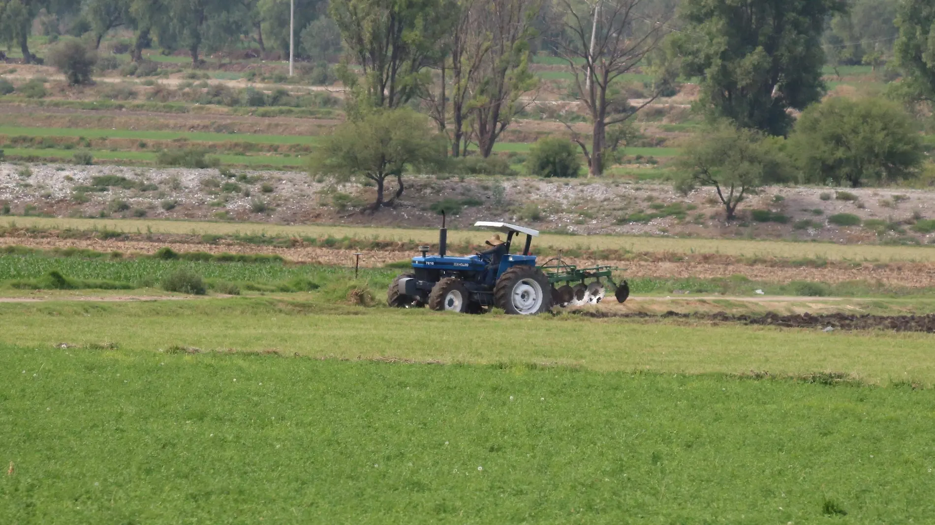 AGRICULTURA F WEN (2)